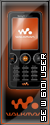 SE W610i User