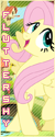 Fluttershy